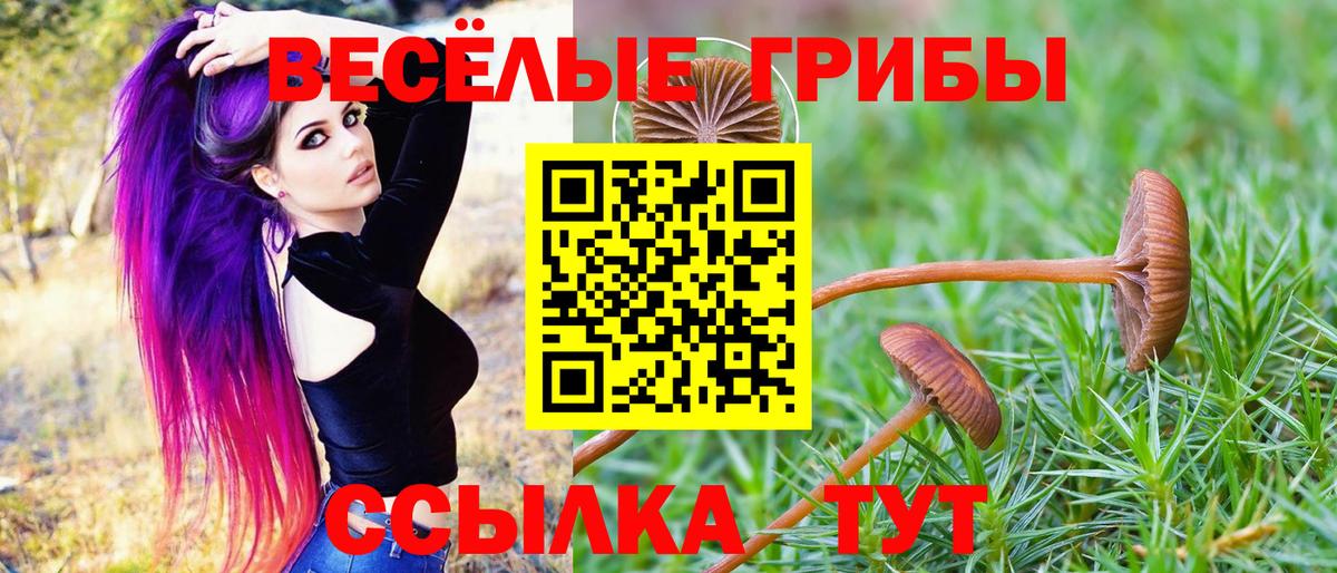Псилоцибиновые грибы Magic Shrooms Зеленогорск