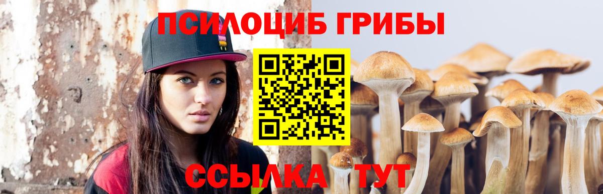 Псилоцибиновые грибы Psilocybine cubensis  Вход с VPN  Зеленогорск 