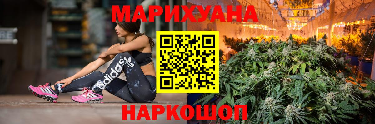Каннабис OG Kush  Каннабис семена  Зеленогорск  Вход с VPN  Бошки марихуана VHQ 